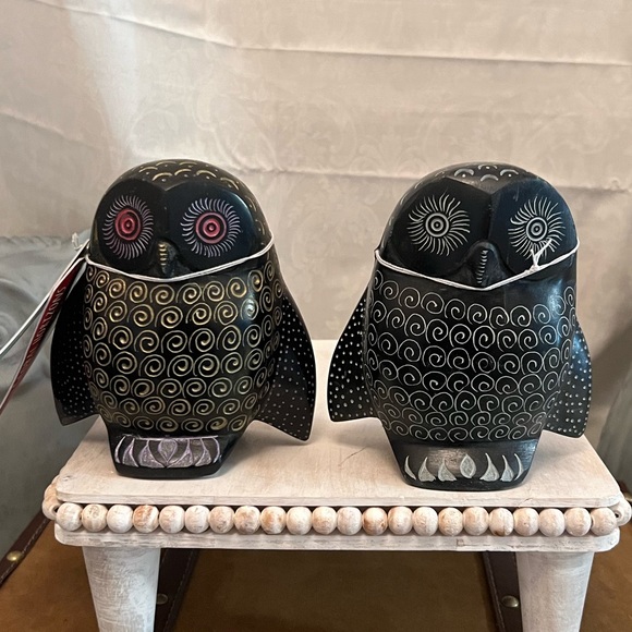 ⚡️Global Horizons Owl Decor